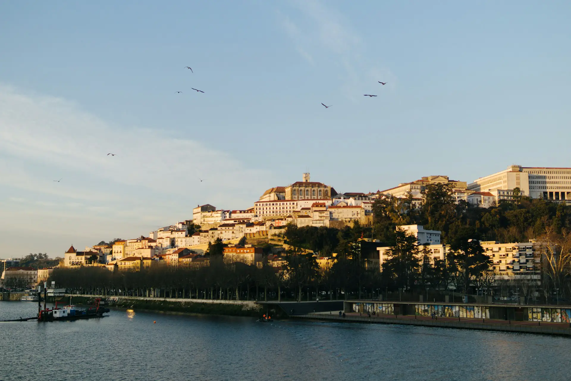 Tours in Coimbra